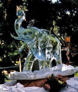 an African elephant ice sculpture, by ice dragon ice sculptures