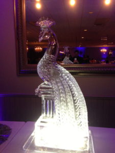 peacock ice sculpture at the Rose Garden