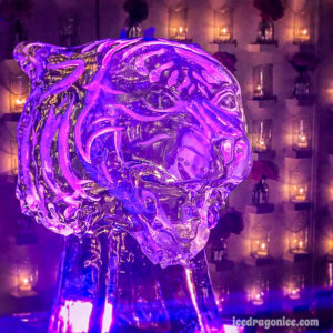 LSU tiger head ice luge with purple lighting for a wedding in the Florida panhandle