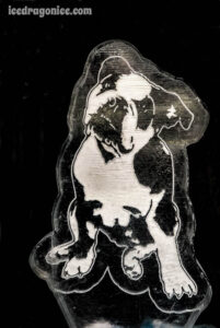 ice portrait of a bulldog for a Hattiesburg, Mississippi wedding. By ice dragon ice sculptures