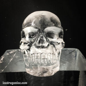 ice skull sitting on a block of ice