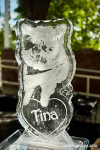 an ice portrait of Tina the Pomeranian